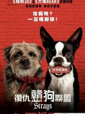 短剧封面